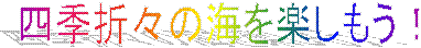 �l�G�܁X�̊C���y�������I