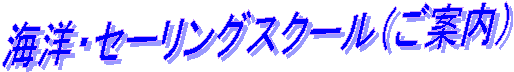 �C�m�E�Z�[�����O�X�N�[���i���ē��j