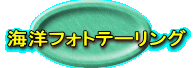 �C�m�t�H�g�e�[�����O 