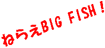 �˂炦BIG FISH�I
