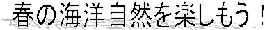 �t�̊C�m���R���y�������I