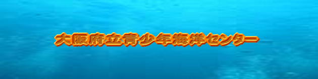 {NCmZ^[