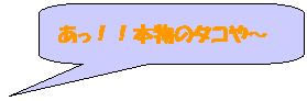�p�ێl�p�`�����o��: �����I�I�{���̃^�R��`

